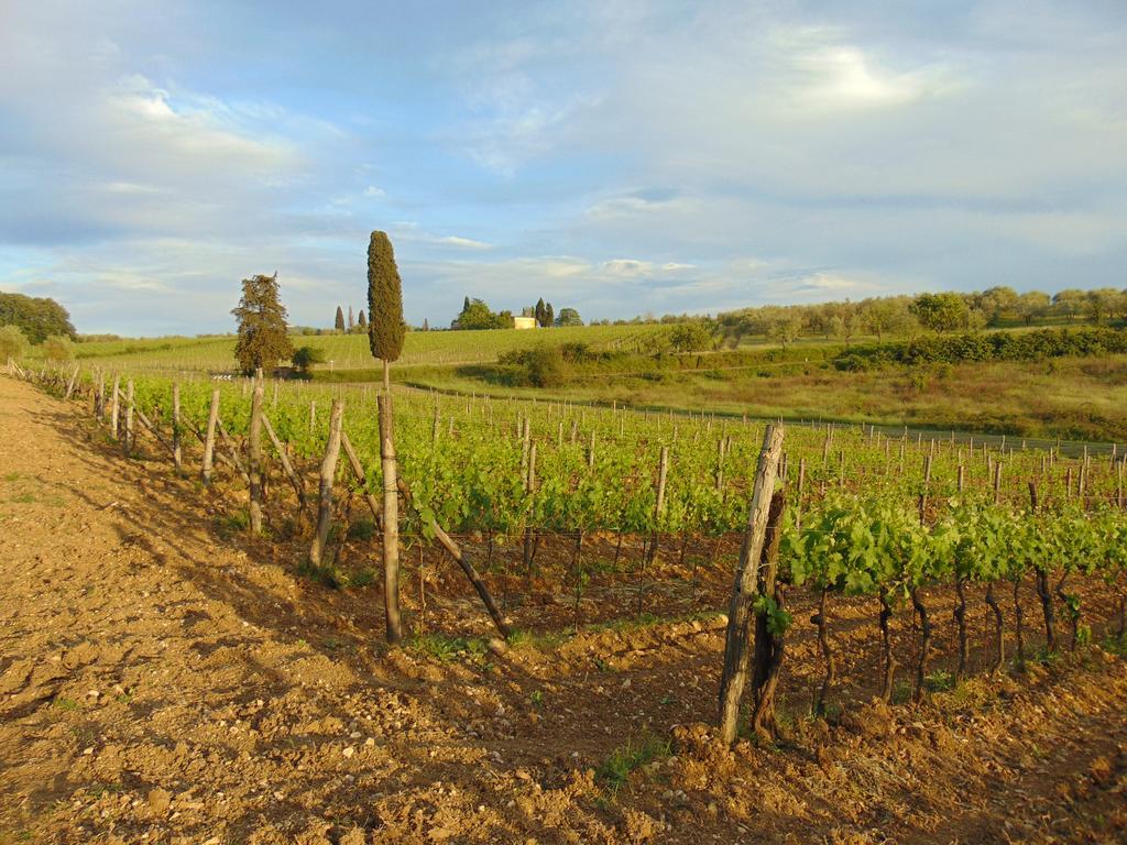Agriturismo Circugnano Грассіна Екстер'єр фото