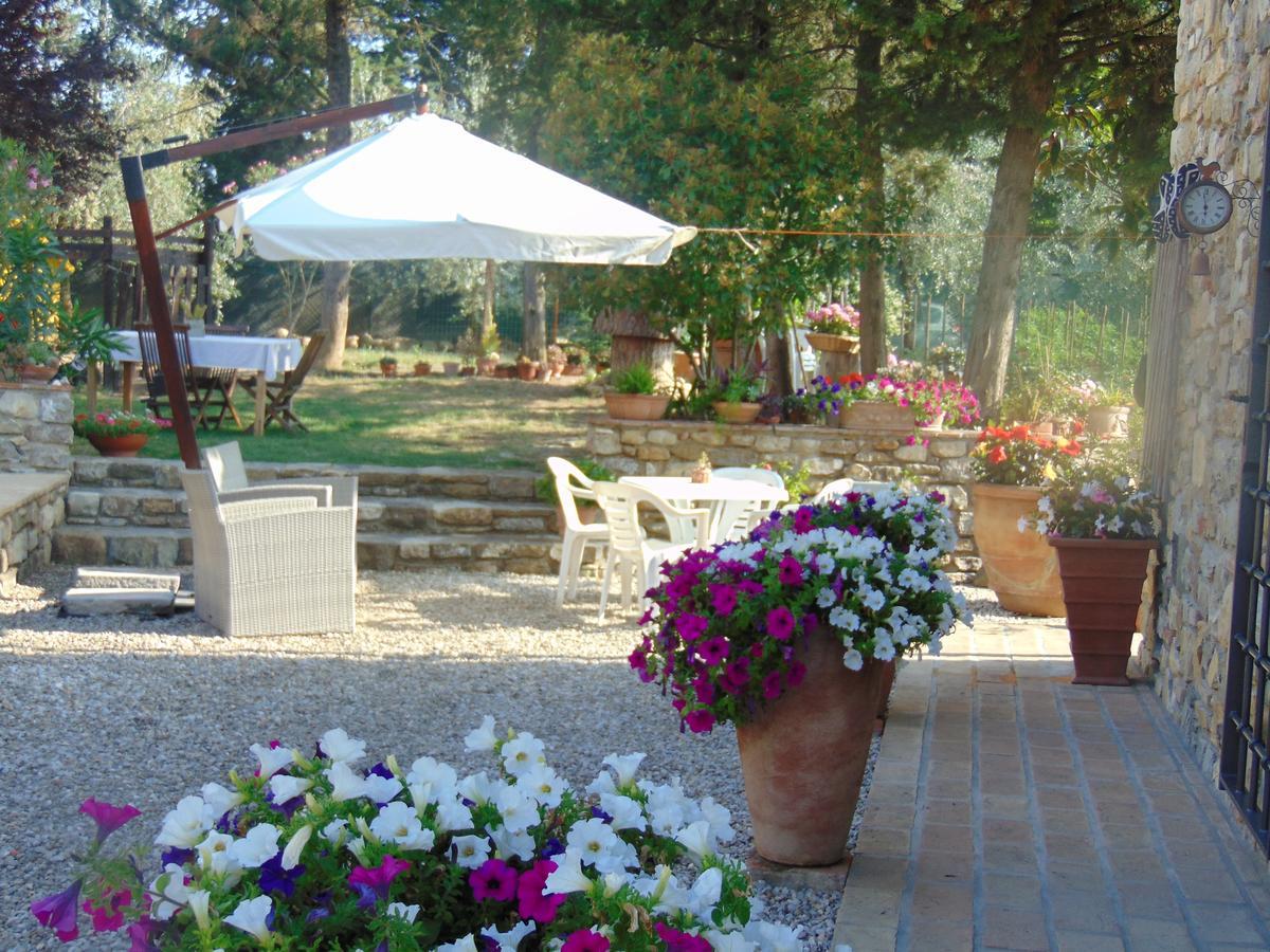 Agriturismo Circugnano Грассіна Екстер'єр фото